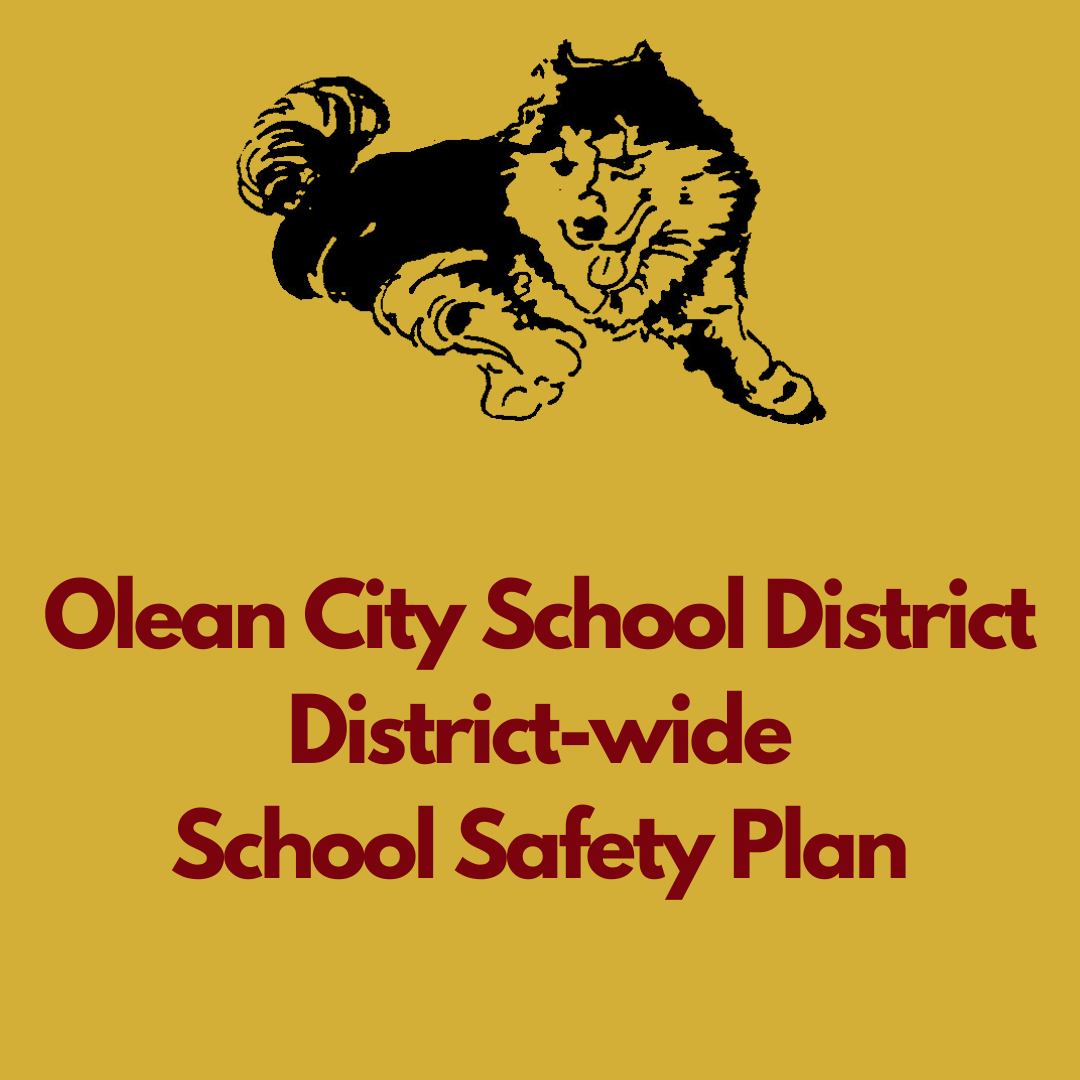  District-wide School Safety Plan